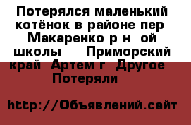 Потерялся маленький котёнок в районе пер. Макаренко р-н 6ой школы ! - Приморский край, Артем г. Другое » Потеряли   